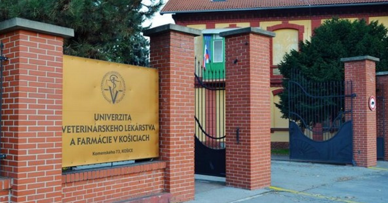 Университет ветеринарной медицины и фармацевтики (UVLF)